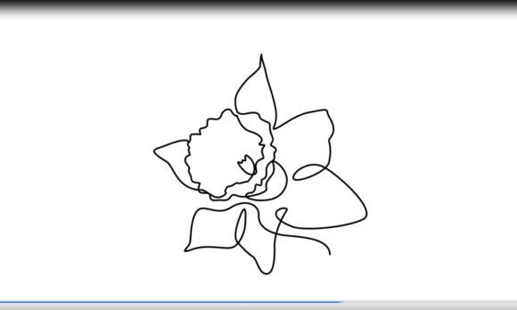 Animated One Line Art Daffodil: Fluid Motion for Modern Branding